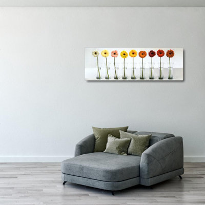 Gerbera Spectrum