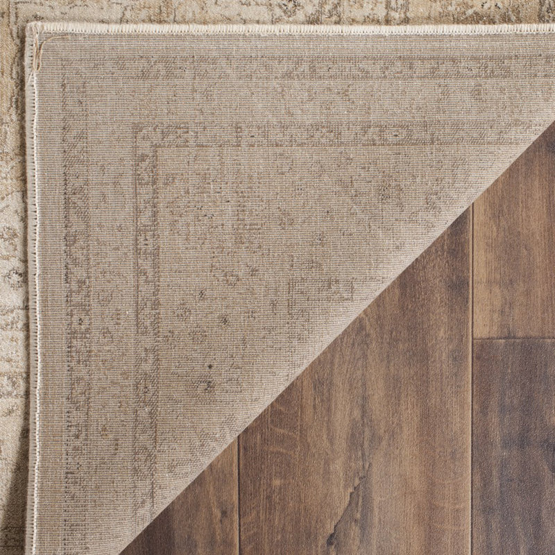 Goodman Oriental Area Rug, Rectangle 160 x 229 cm