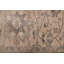 Tapis gris Jules Serapi 7 pi 11 po x 9 pi 10 po