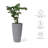 Bee Resin Pot Planter-1611335058-1713869047-1638799744