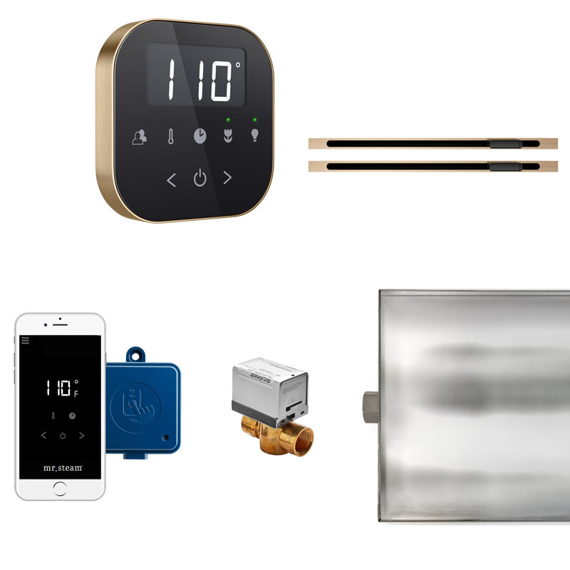 Steam Generator Control, Black/Brushed Bronze
