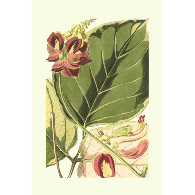 Fantastique botanique I