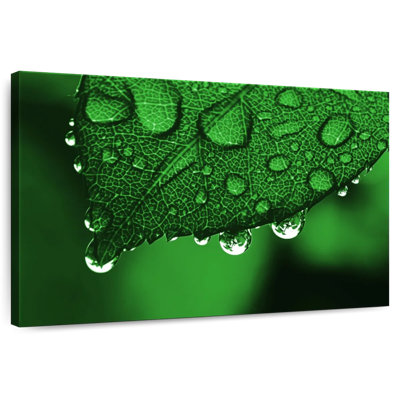Harnek Leaf Raindrops