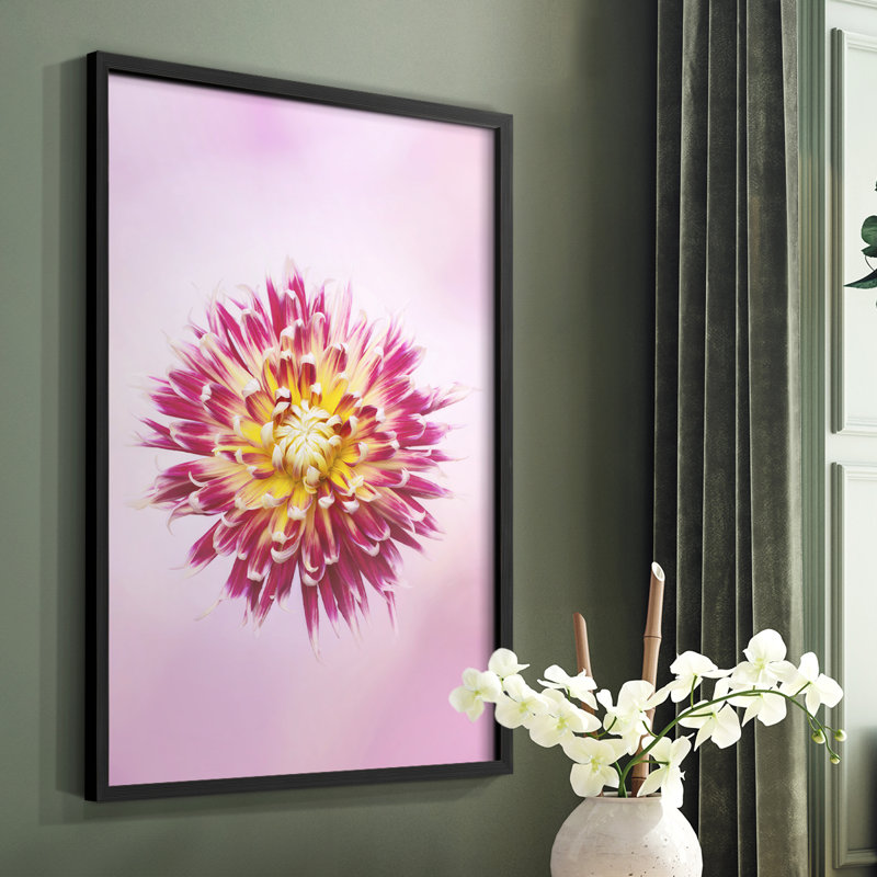 Exotic Flower Burst I, reproduction encadrée - bois massif, H 10 po x l 8 po, Noir