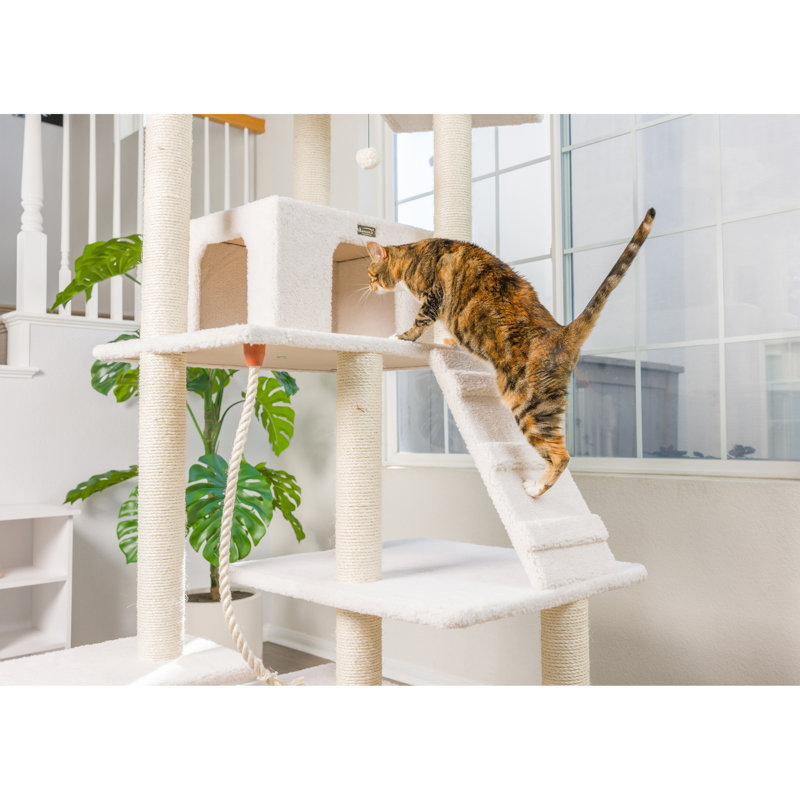 Arbre à chat 82 po Classic