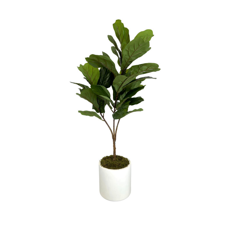 Organic Modern 4' Faux Fiddle Leaf Tree