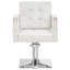 Fauteuil de coiffeuse à pompe hydraulique pour coiffeur, coiffeuse avec garniture cloutée-1401235759