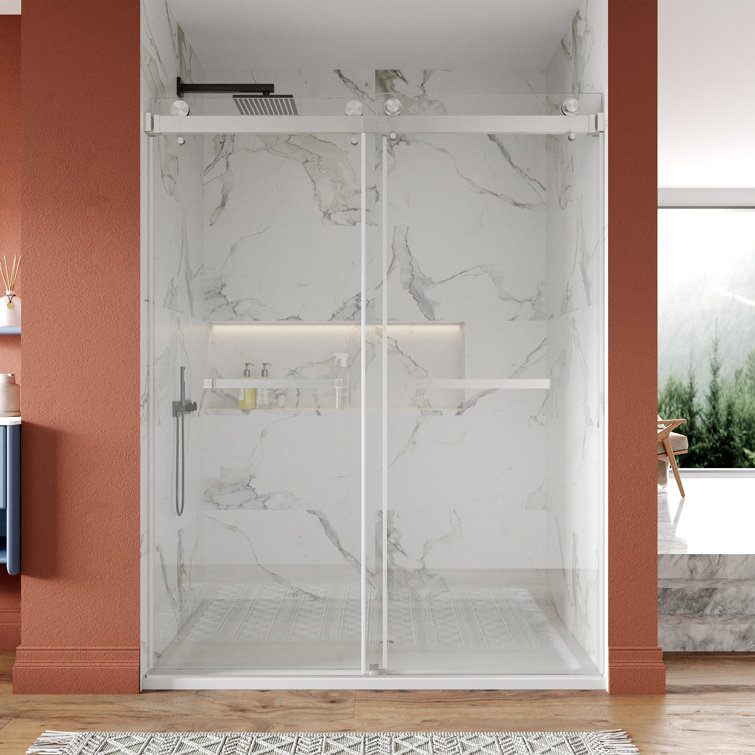Concord 56" - 60" W x 76" H Double Sliding Frameless Shower Door with 3/8" Tempered Glass, Stainless Steel Accessories