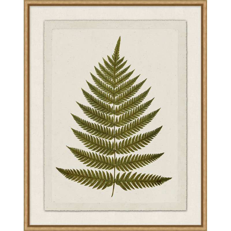 Plant Presses 5 Print by Lillian August