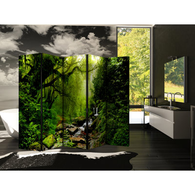 Vokolida 172cm H Solid Wood Folding Room Divider