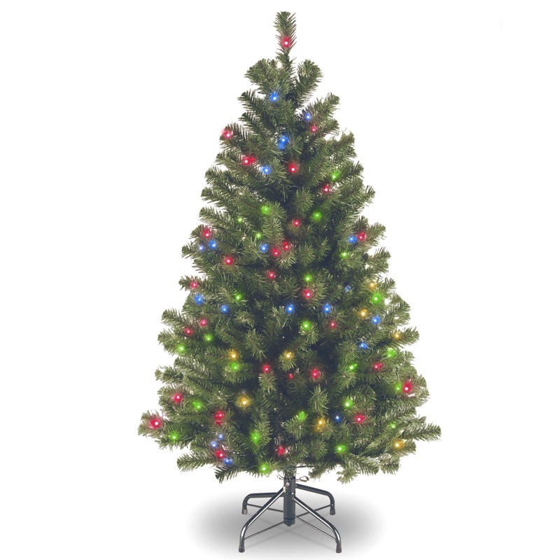 North Valley Spruce Tree with Multicolor Lights, 4.5'