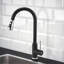 Belfry Kitchen Sidd Pull Down Kitchen Faucet