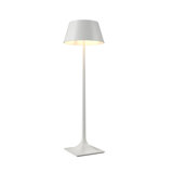Nosltalgia Floor Lamp