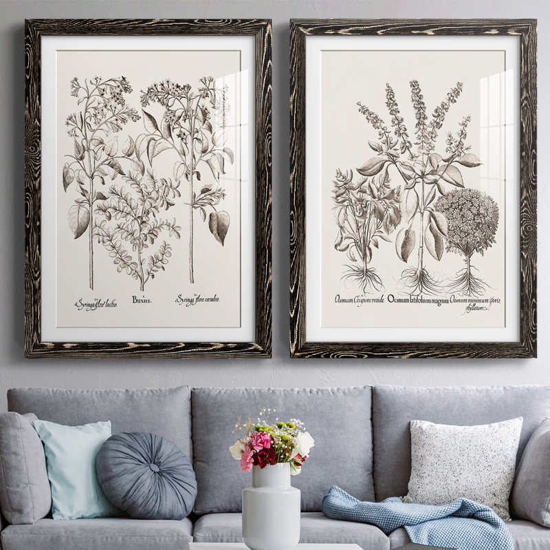 Sépia Besler Botanicals I-Premium, reproduction encadrée - prête à être accrochée, Noir, H 31,5 po x l 88 po x P 1,5 po