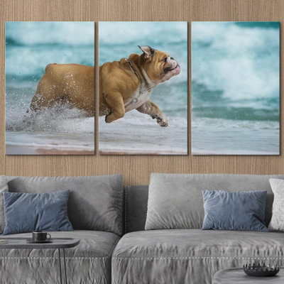 Animals " Happy Dog Bulldog Running At The Sea " 3 - Pieces