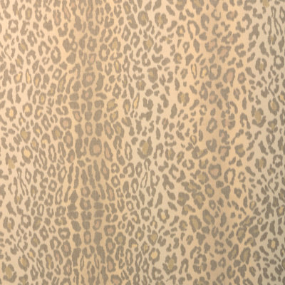 Safari Warp Print