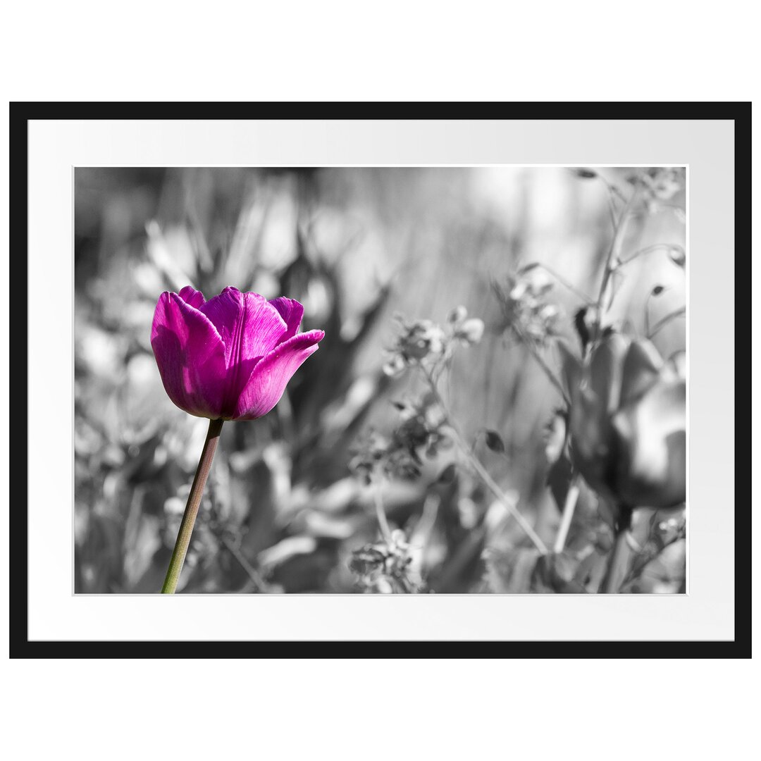 Gerahmtes Poster Blumen im Sonnenschein