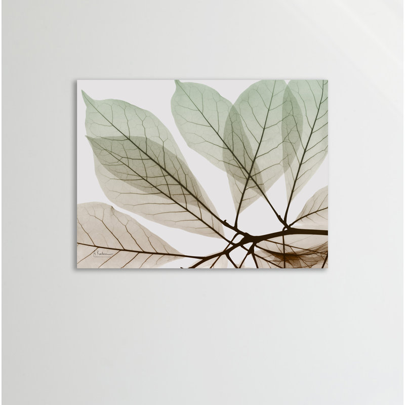 «Earthy Magnolia», toile tendue par Albert Koetsier, H 12 po x l 16 po x P 1,5 po