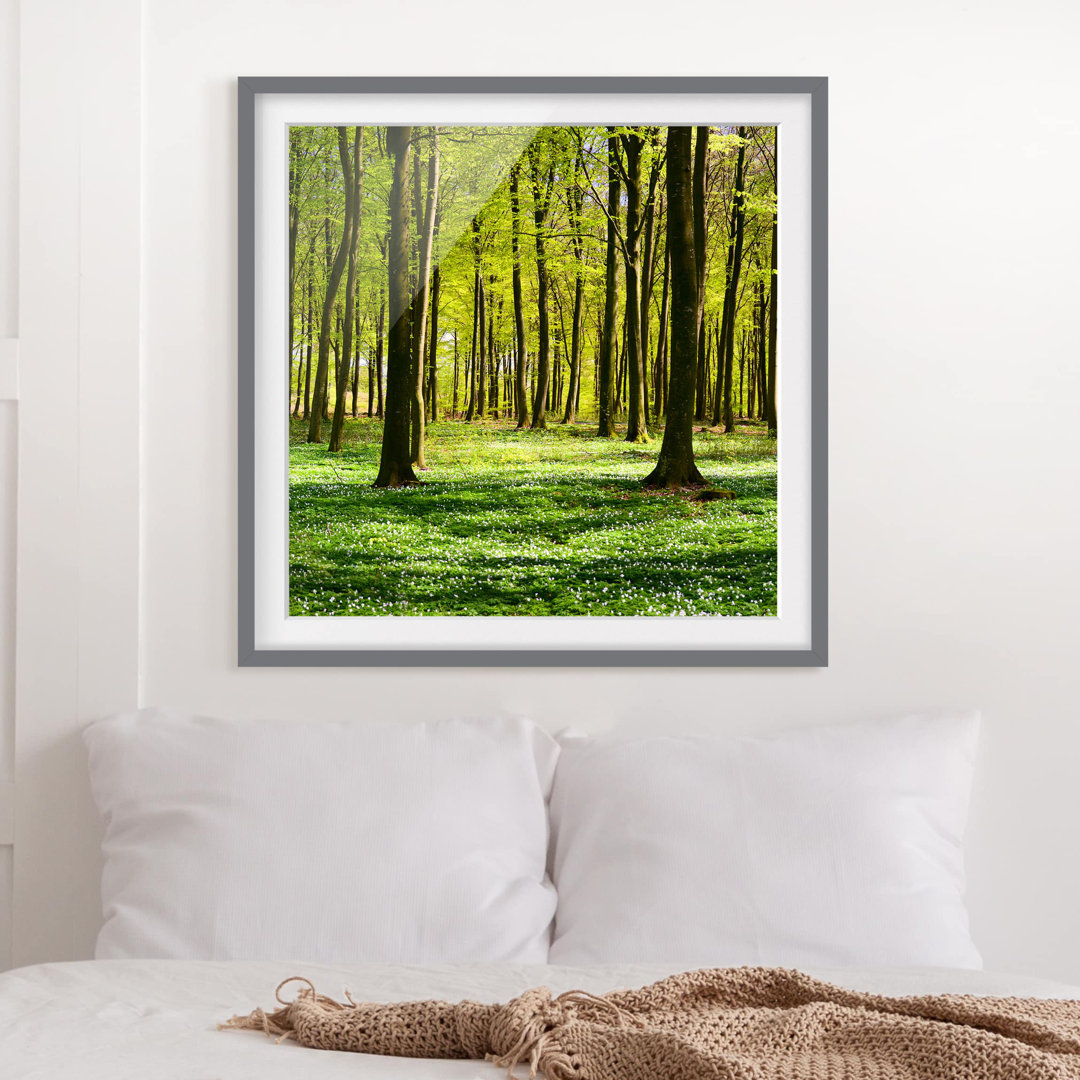 Gerahmter Fotodruck Forest Meadow