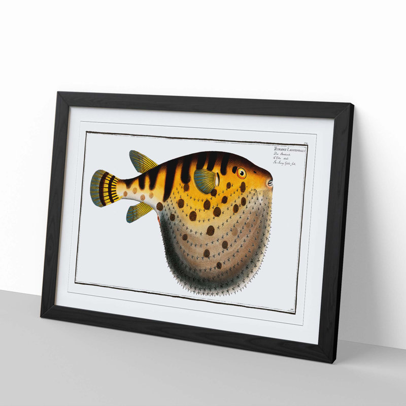 Pufferfish by M.E. Bloch - Framed Print, 48cm H x 65cm W x 2cm D, Black Framed