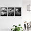 Lone Tree And Storm Clouds Black White Coastal Landscape - 3 Piece No Frame Print Set-933891794