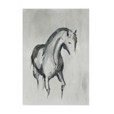 Gray Stallion I Print by Jacob Lincoln