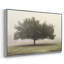 Arbres dans le brouillard II-233045860-233045856