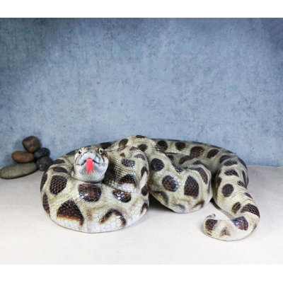 Realistic Ferocious Coiled Boa Snake Hand Painted Taxidermy Statue 17"L