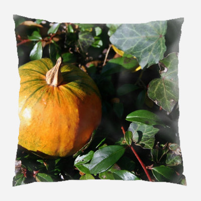  Gourd Indoor/Outdoor Throw Pillow
