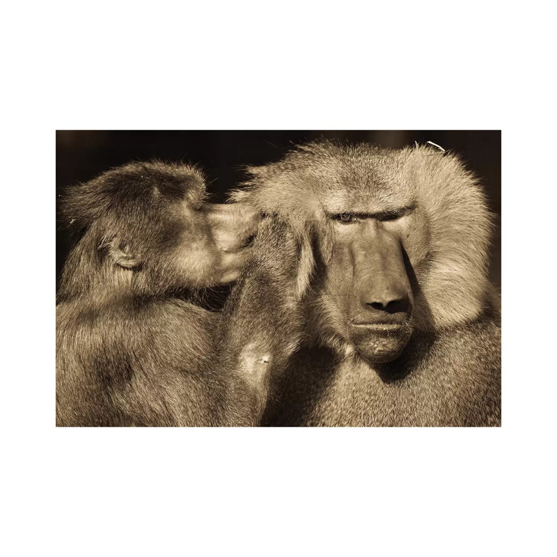 Talk by Goran Anastasovski - Wrapped Canvas Print, 66.04 cm H x 45.72 cm W x 3.175 cm D