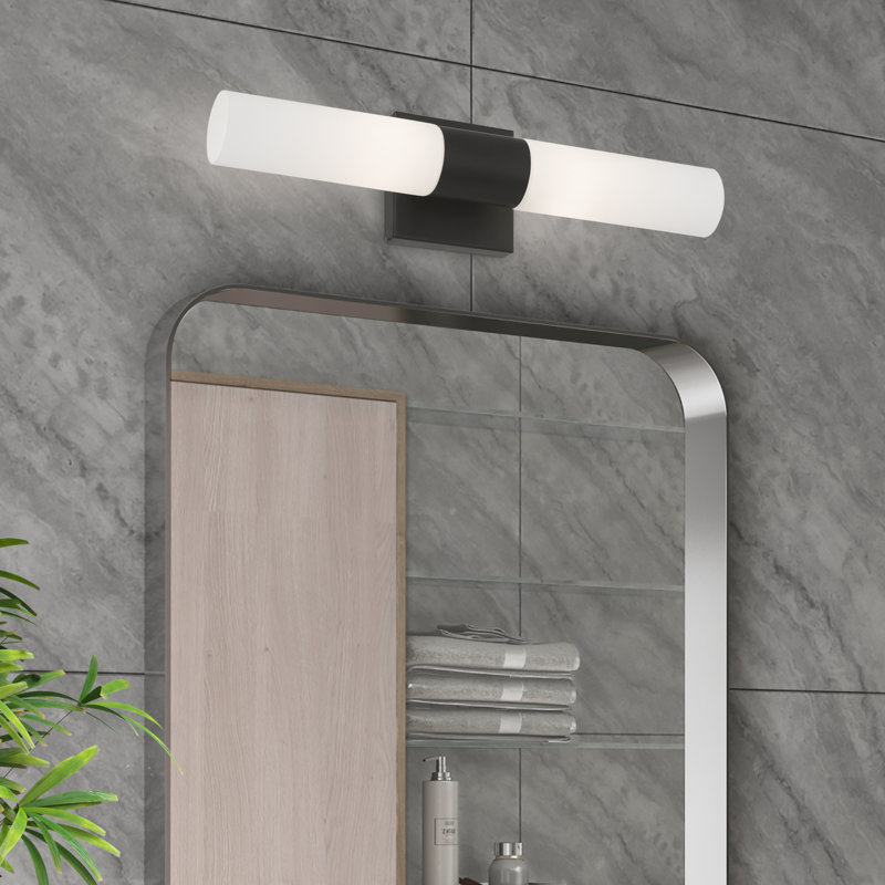 Cailum 2-Light Dimmable Vanity Light, Black/Brushed Nickel