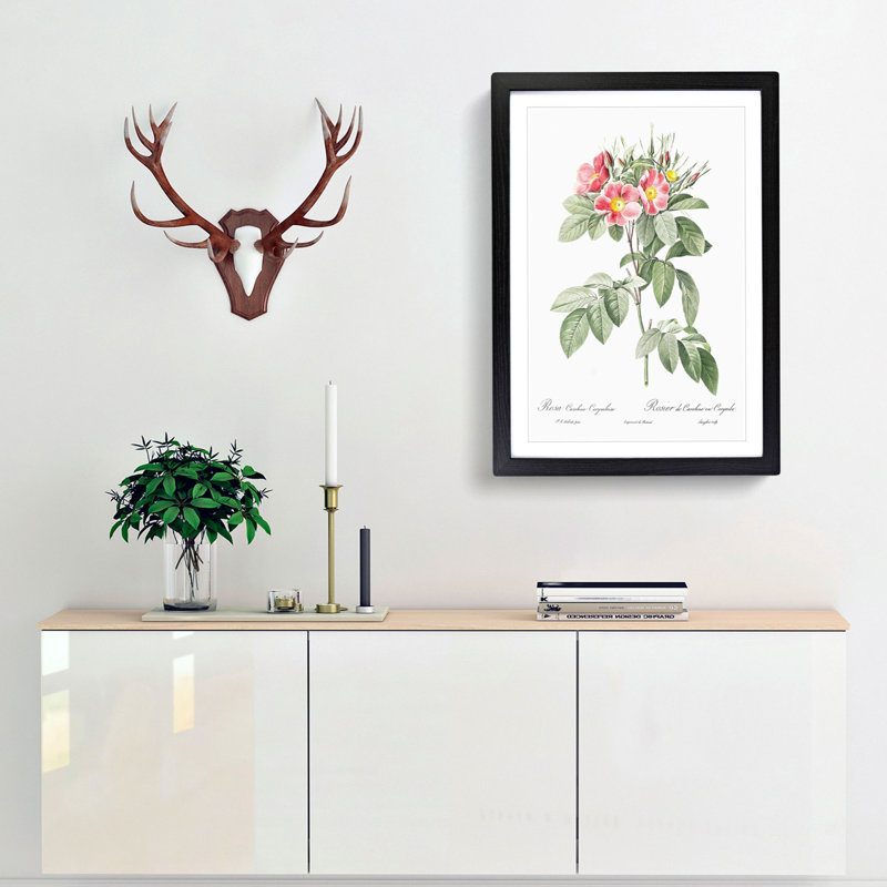 Pasture Rose in Pink by Pierre-Joseph Redoute - Picture Frame Painting Print, 65cm H x 48cm W x 2cm D, Black Framed