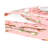 Exotix Flamingo Acrylic Candy Catchall Dish