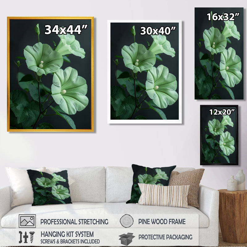 «Green Garden Meadow Morning Glory Photo I - Morning Glory», art mural salon, Cadre flottant brun, H 30 po x l 40 po