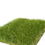 Blossom Faux Evergreen Grass-1813134766