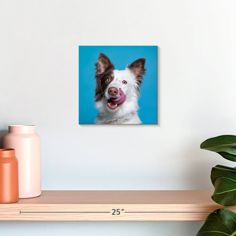 Crowle Charming Pooch, 10" H x 10" W