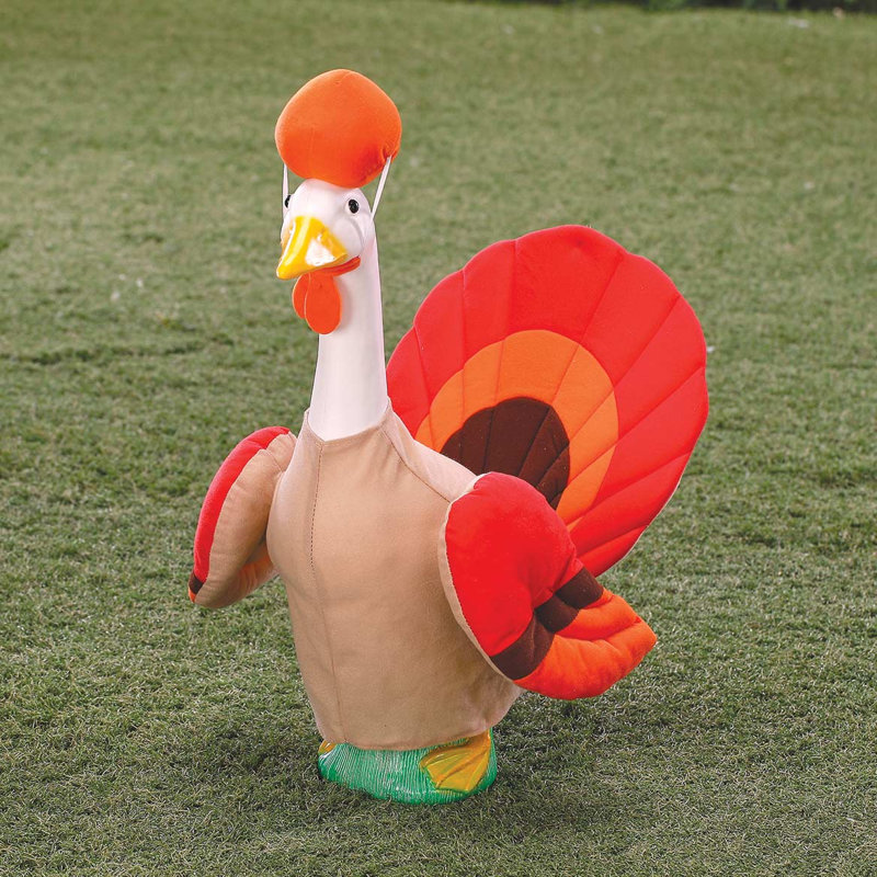 Grande tenue de dinde et d'oie