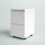 Canesha 39cm W 2-Drawer Office storage unit,Steel Filing Cabinet with 4 Casters-178017652