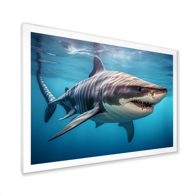 Tiger Shark Territory III - Shark Framed Wall Art