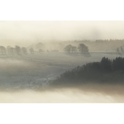 Morganville Misty Landscape - Wrapped Canvas Print
