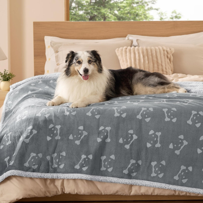 Jeté de lit imperméable pour petits chiens et chats, housse réversible imprimée en molleton Sherpa, L 80 po x l 60 po, Gris