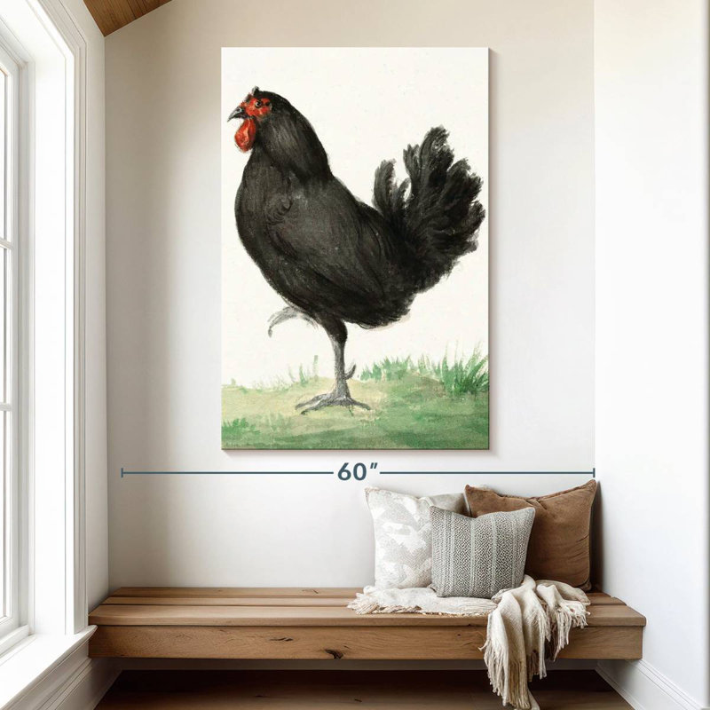 Poulet noir debout Brampt, H 51 po x l 34 po