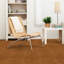 Carreau de vinyle 12 po x 12 po Tivoli Parquet