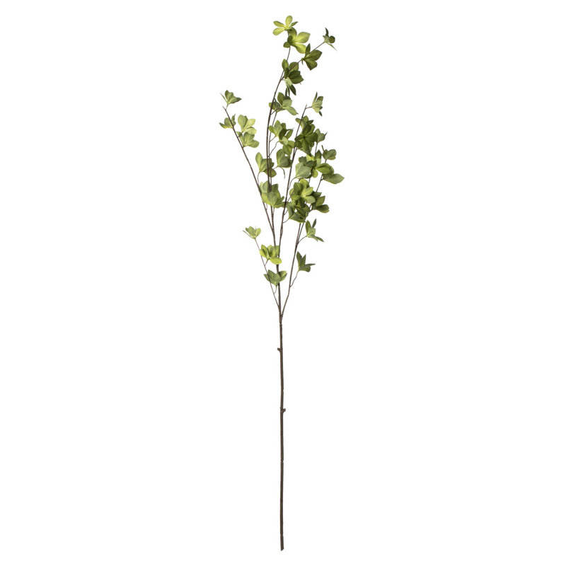 Castor Arrangement