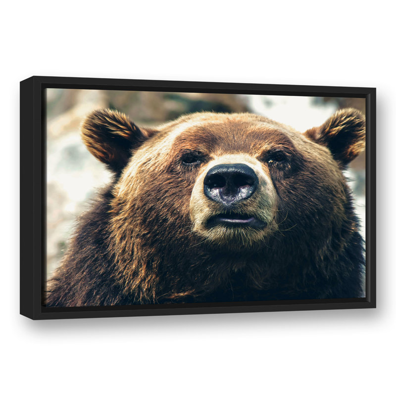 «Grizzly Bear», reproduction sur toile, H 13,75 po x l 17,75 po x P 1,75 po