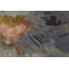 Dafney Floral Area Rug-900977374