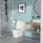 Ceramic One Piece Toilet,Single Flush With Soft Clsoing Seat