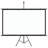 Projection Screen Home Theater Screen Pull-down-80889497