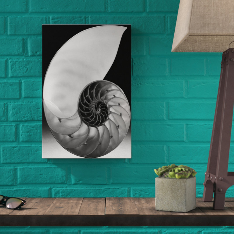 Shell I - Graphic Art Print, 46cm H x 30cm W, Wrapped Canvas