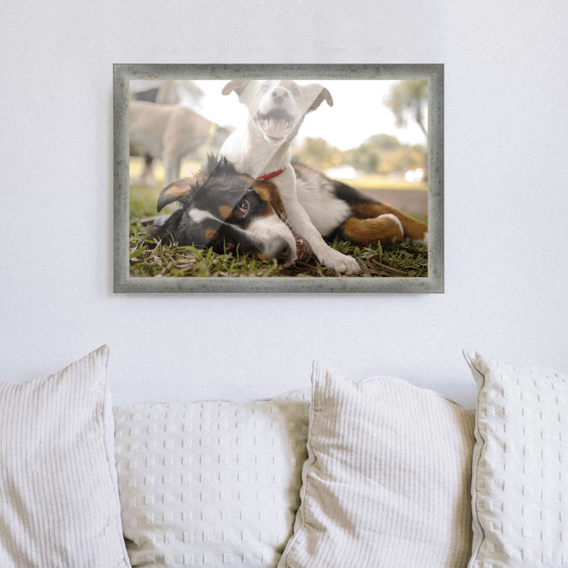 Cadre photo Emsal, Argent, L 14 po x H 24 po